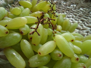 macro grapes