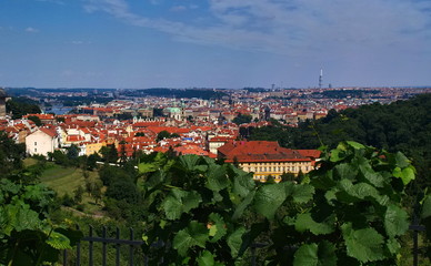 Fototapeta premium View of the Prague