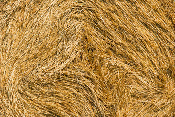 rolled up bale of straw detail