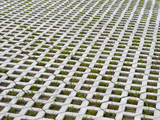 Fototapeta premium paving slabs lawn grill with green grass