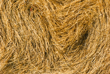 rolled up bale of straw detail