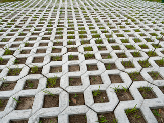 paving slabs lawn grill with green grass