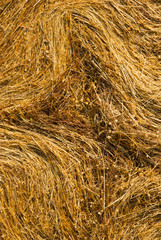 rolled up bale of straw detail