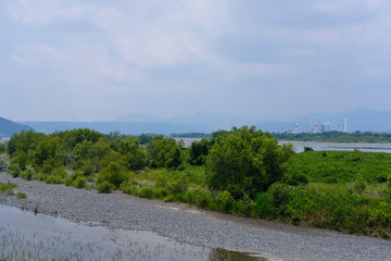 静岡県の蓬莱橋