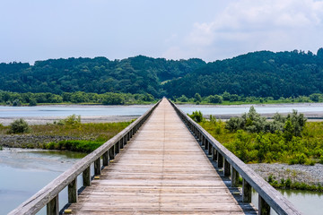 Naklejka premium 静岡県の蓬莱橋