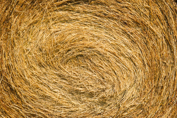 rolled up bale of straw detail