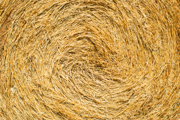 rolled up bale of straw detail