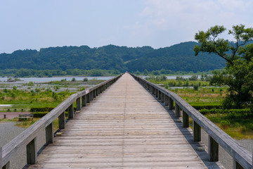 Fototapeta na wymiar 静岡県の蓬莱橋