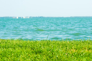 turf and blur waves at background