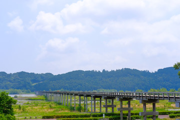 Fototapeta premium 静岡県の蓬莱橋