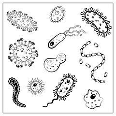Set of Vector illustration with outlines of different bacteria, virus, cells, germs or epidemic bacillus.