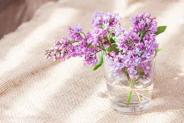Purple and pink lilac flowers in a glass vase. Bouquet of lilac for mother or wife concept. Copy space.