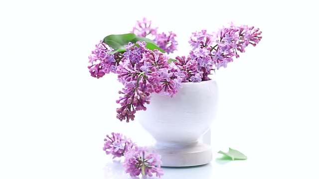 lavender in vase