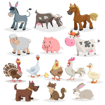 Cute farm animals set. Collection of cartoon vector drawings in flat style. Donkey, goat, horse, sheep, pig, cow, turkey, duck, rooster and hen, goose, dog, cat, rabbit.