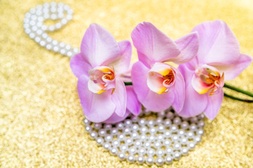 Fototapeta na wymiar purple Orchid and pearl necklace on a shiny gold background