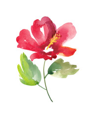 Tropical Red Hibiscus flower painted in watercolors