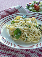 Pasta Alfredo Serving on Plate with Salad Red Vert