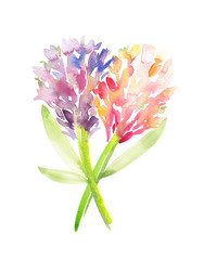 A pair of hyacinth flowers painted in pink and blue with watercolors