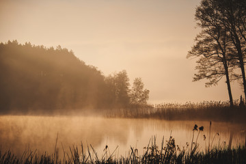 Misty morning on the lake