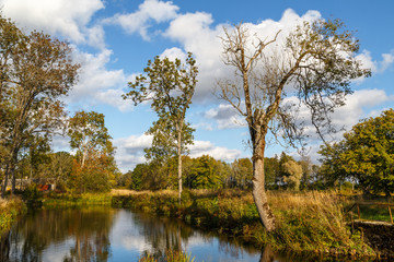 Fototapeta na wymiar Natural park near medieval castle in Koluvere town, Estonia