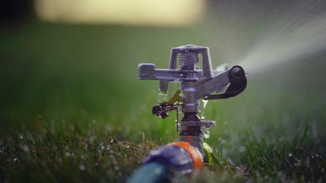 Close-up of a sprinkler watering the lawn shot from behind.