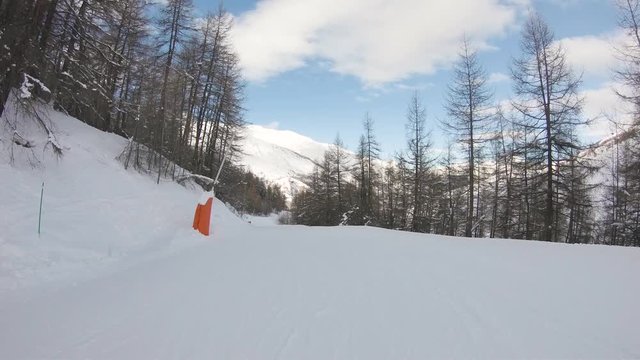 An empty ski slope surrounded by trees on the shadow side, push in