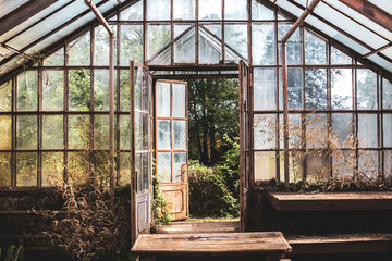 Greenhouse in the garden