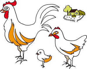 Stylized rooster, chicken, chicken and rural courtyard