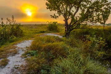 sunset in foggy field
