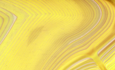 gold lines of agate structure