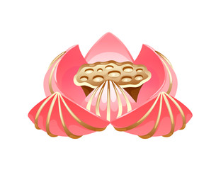 Pink bloom of lotus with golden lines on petals