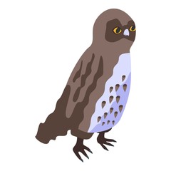 Forest owl icon. Isometric of forest owl vector icon for web design isolated on white background
