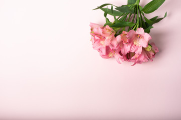 Top view of a pink flower bouquet on a light-pink background. Tender postcard for women, beauty concept 