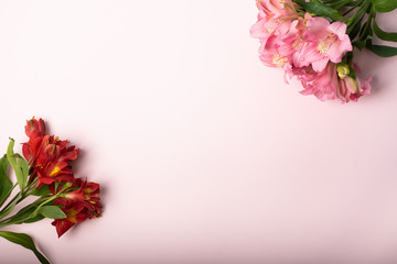 Two flower bouquets on a light-pink background. Top view of red and pink flowers. Copy space