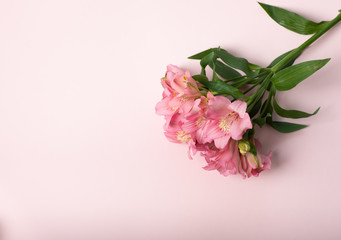 Pink flower bouquet on a light-pink surface. Top view, copy space. Mothers day, present for girls concept