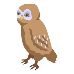 Owl kid icon. Isometric of owl kid vector icon for web design isolated on white background