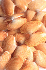 The shells of striped clams are beautifully stacked together