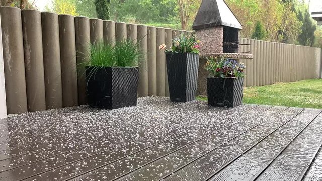 a hailstorm comes down in a garden