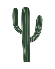 cactus desert plant isolated icon © Jemastock