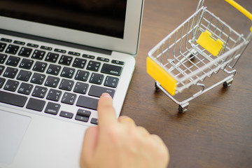 Using a computer to buy online products With shopping cart