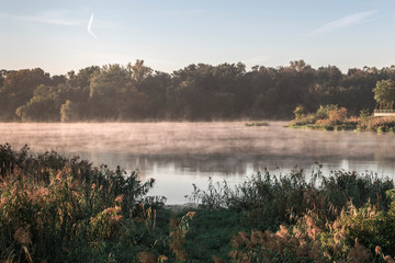 Beautiful riverside view with mist floating on water. In the background forest on river bank. Interesting mirror reflection on water surface. Sunrise, Oder river, Wroclaw, Poland. 