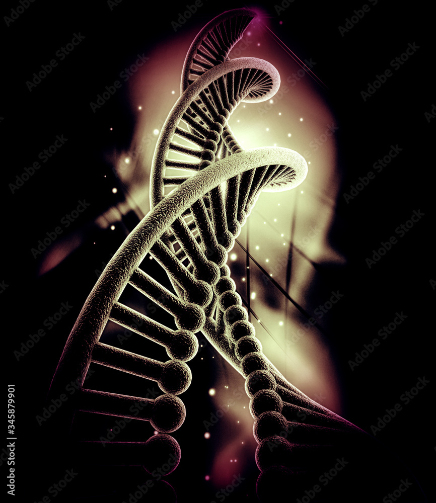 Poster dna structure