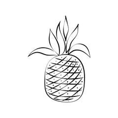 Cute fresh pineapple with black and white doodle style