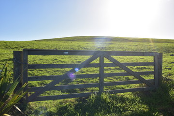 Fototapeta premium Heavy wooden livestock gate separating sections of farmland in back light.