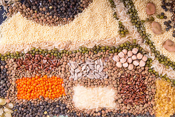 Food background. Stylized food map of various Legumes, sereals, beans, grain and seeds. Kind of lentils, bulgur, mash, chickpeas, sunflower seeds, couscous, rice.