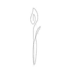 Flower one line drawing, vector illustration
