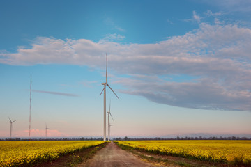 Spring fields of blooming yellow rape and a wind generator with a station. Alternative energy.