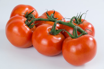 Frische saftige rote Rispen-Tomaten mit Grün auf weißem Hintergrund