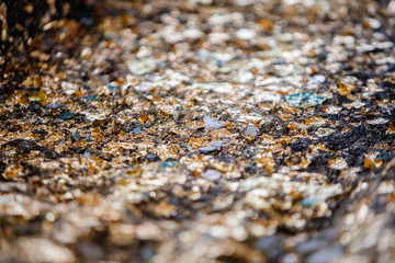 coin in hole concrete