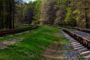 Two old railway tracks in the forest